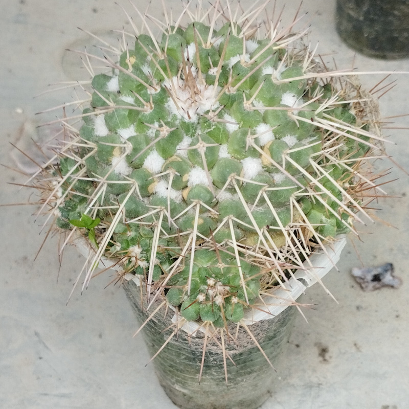 M-533:
