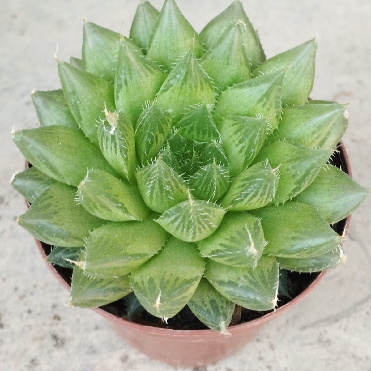 M-420: